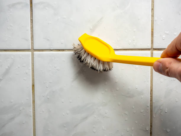 Best Emergency Mold Removal  in Elburn, IL