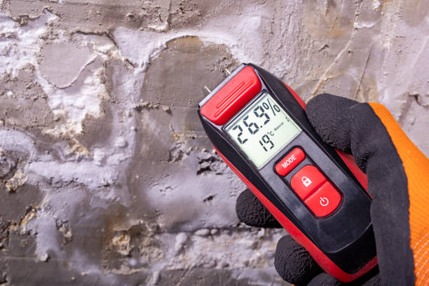 Trusted Elburn, IL Mold Removal Experts